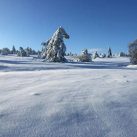 Prázdninový dům Fachwerkliebe By Interhome Bruchhausen (Hochsauerlandkreis)