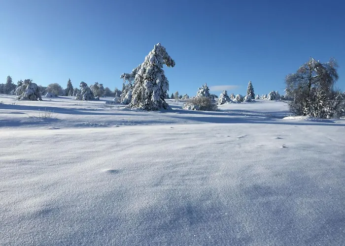 Prázdninový dům Fachwerkliebe By Interhome Bruchhausen (Hochsauerlandkreis)